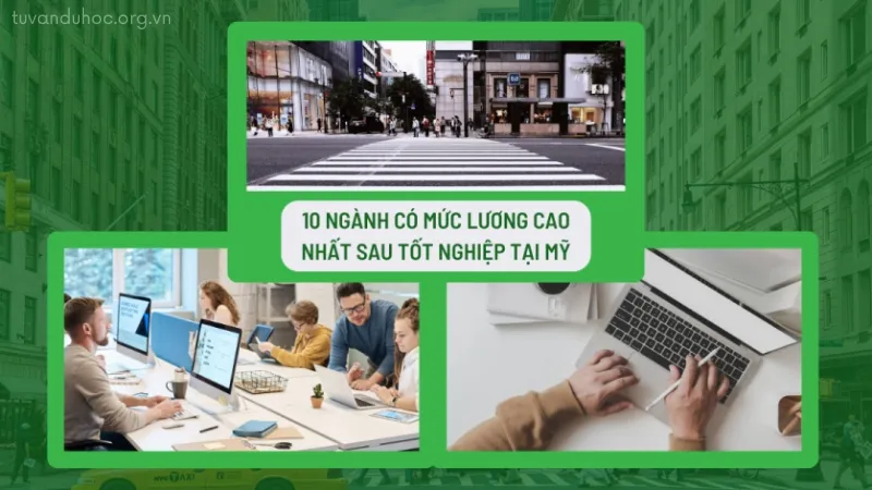 Top 10 ngành học có mức lương cao nhất tại mỹ năm 2024 1