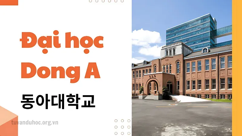 Học bổng trường Đại học DongA