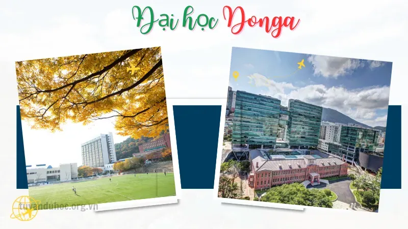 Điều kiện tuyển sinh của đại học DongA