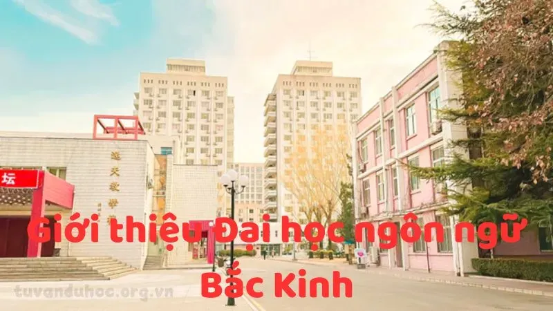 Giới thiệu Đại học ngôn ngữ Bắc Kinh