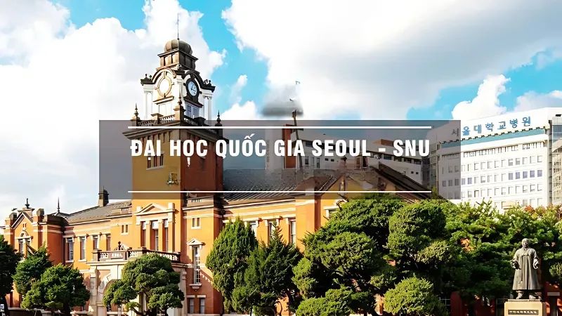 Chương trình đại học và sau đại học tại SNU