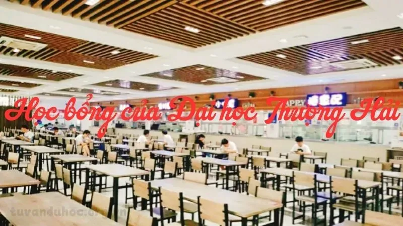 Học bổng của Đại học Thượng Hải