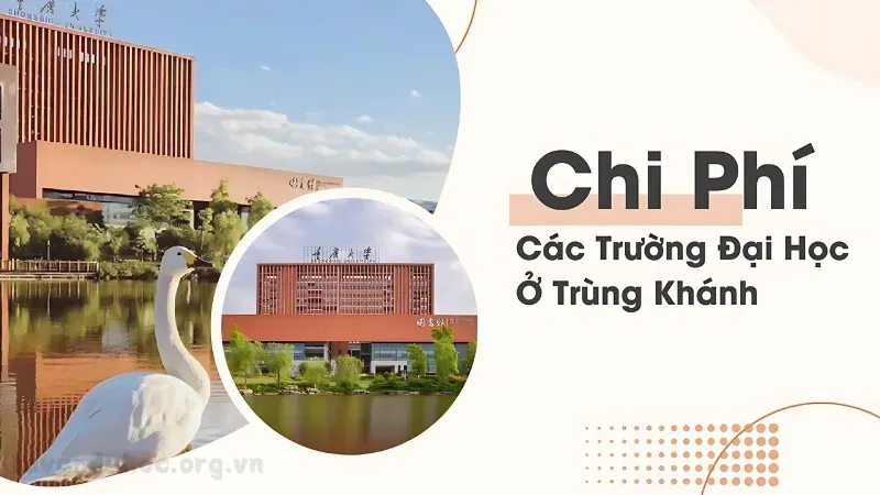 đại học Trùng Khánh 5