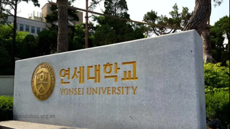 Điều kiện tuyển sinh của Đại học Yonsei