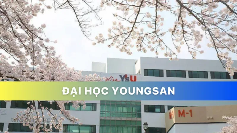 Tổng quan về trường Đại học Youngsan