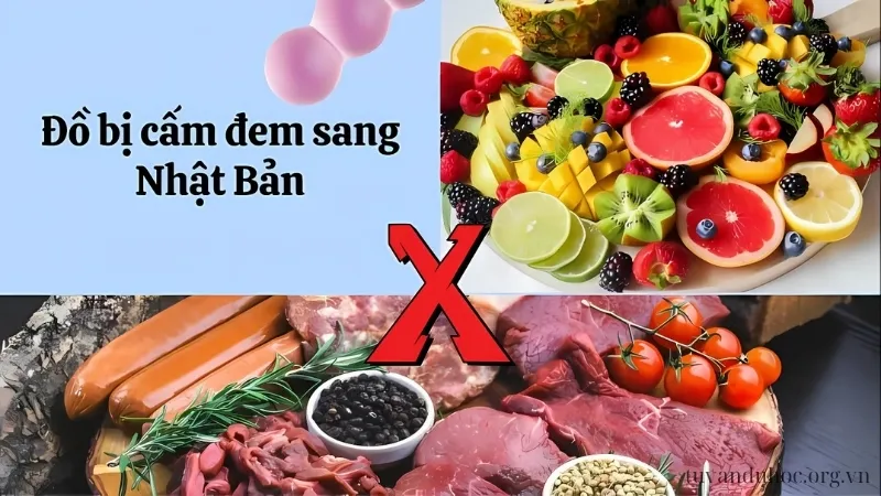 Đồ bị cấm đem sang Nhật