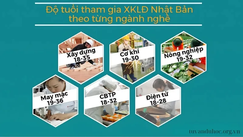 Độ tuổi xuất khẩu lao động Nhật Bản cụ thể cho từng ngành nghề?