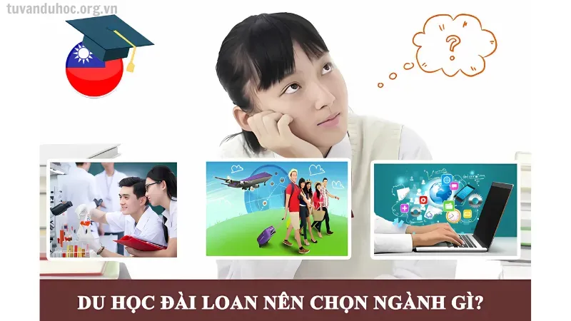 Du học Đài Loan có những ngành nào phổ biến?