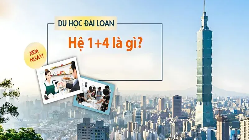 Du học Đài Loan hệ 1+4 là gì?