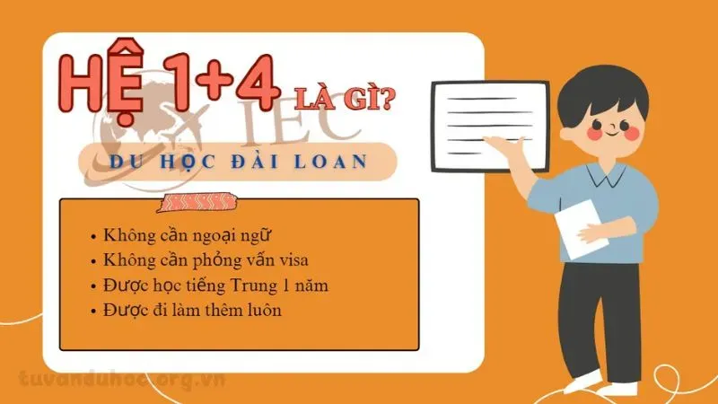 Tìm hiểu du học Đài Loan hệ 1+4 - Ưu điểm và cơ hội lớn