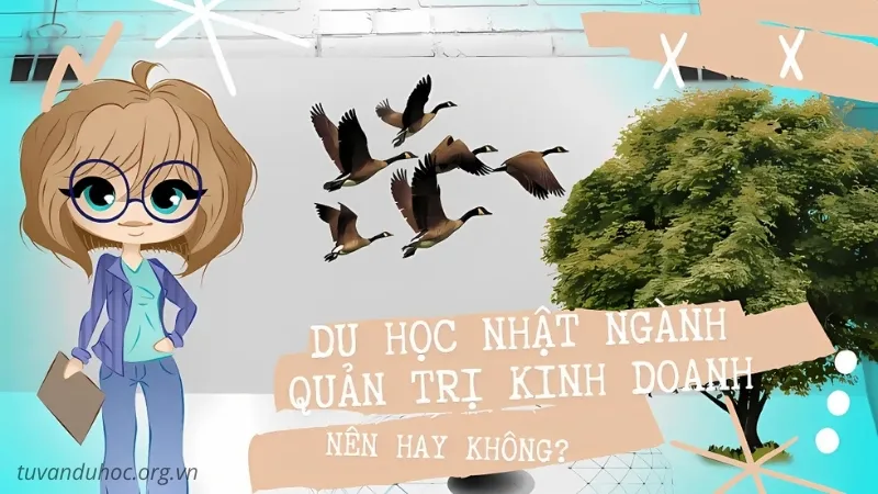 du học nhật bản ngành quản trị kinh doanh 8