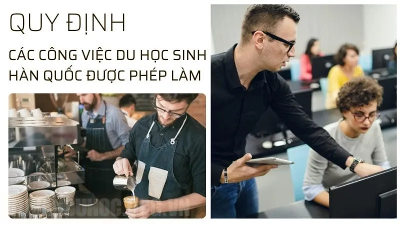 Quy định về các công việc du học sinh Hàn quốc được phép làm