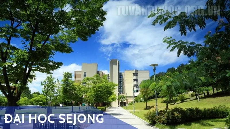 Đại học Sejong