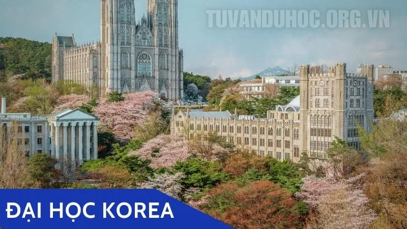 Đại học Korea