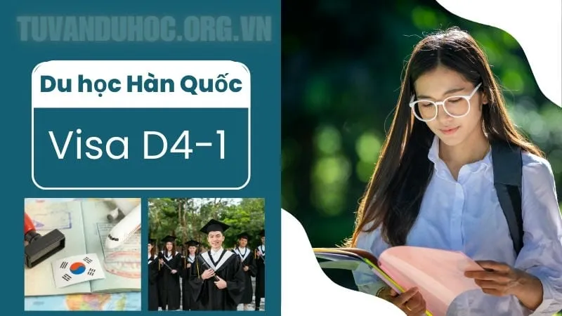 Du học Hàn Quốc visa D4-1 là gì?