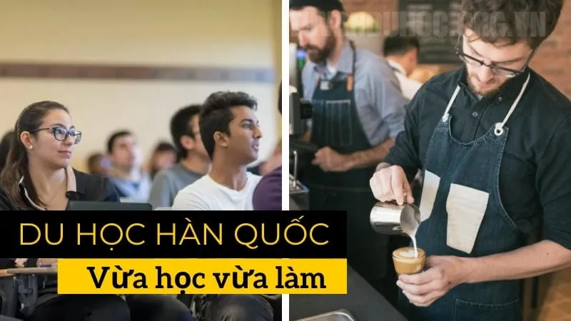 Lời khuyên khi du học vừa học vừa làm tại hàn quốc 10