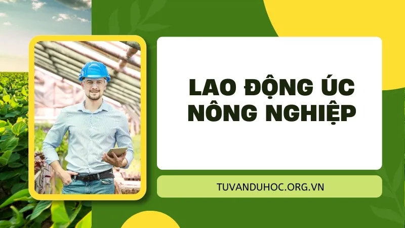 Tại sao lao động úc nông nghiệp được người Việt quan tâm? 4