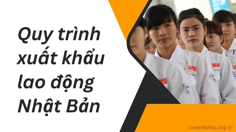 Quy trình đi xuất khẩu lao động Nhật Bản