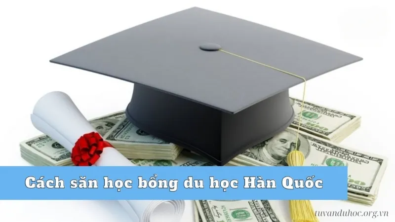 Cách săn học bổng du học Hàn Quốc