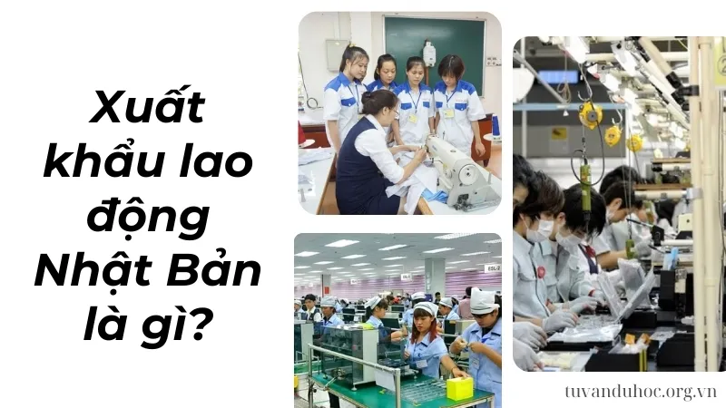 Xuất khẩu lao động Nhật Bản là gì?