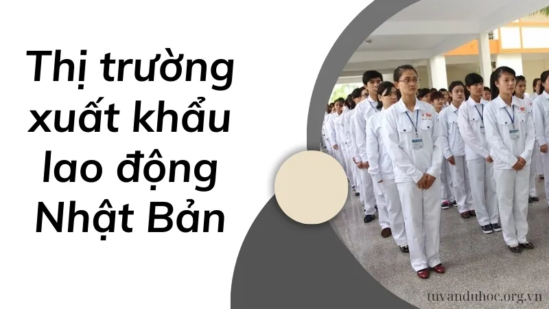 Đánh giá về thị trường xuất khẩu lao động Nhật 