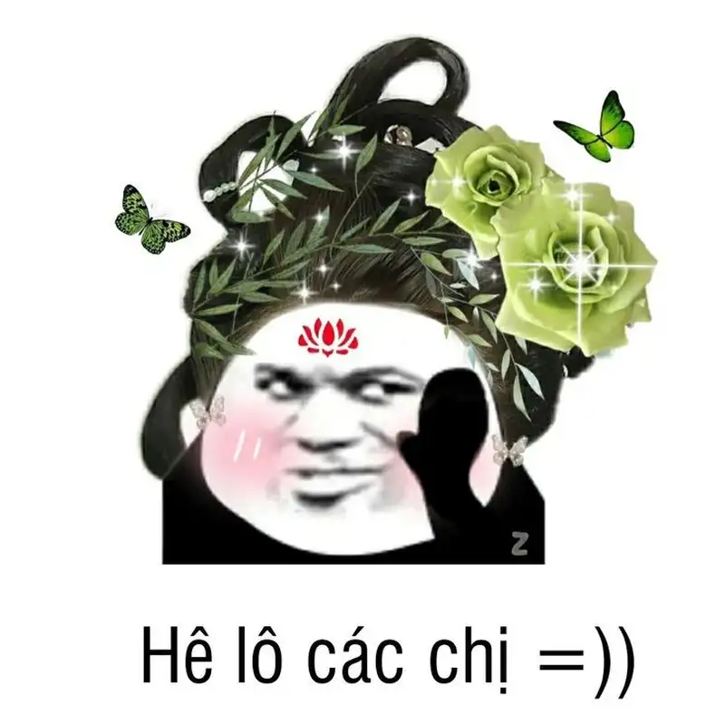 Meme mèo bựa hài hước, là lựa chọn hoàn hảo để troll bạn bè.