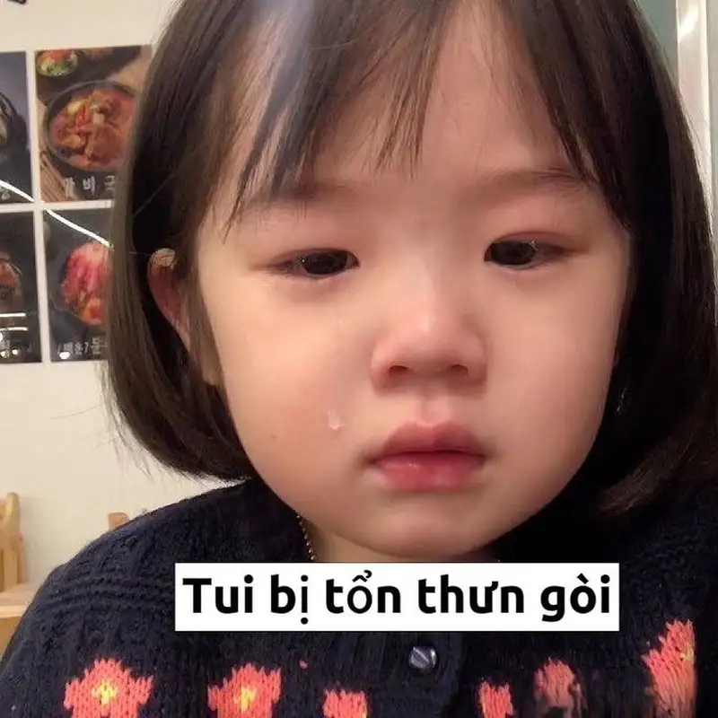 Ảnh chế mèo bựa vừa cute vừa buồn cười, xem là thích.