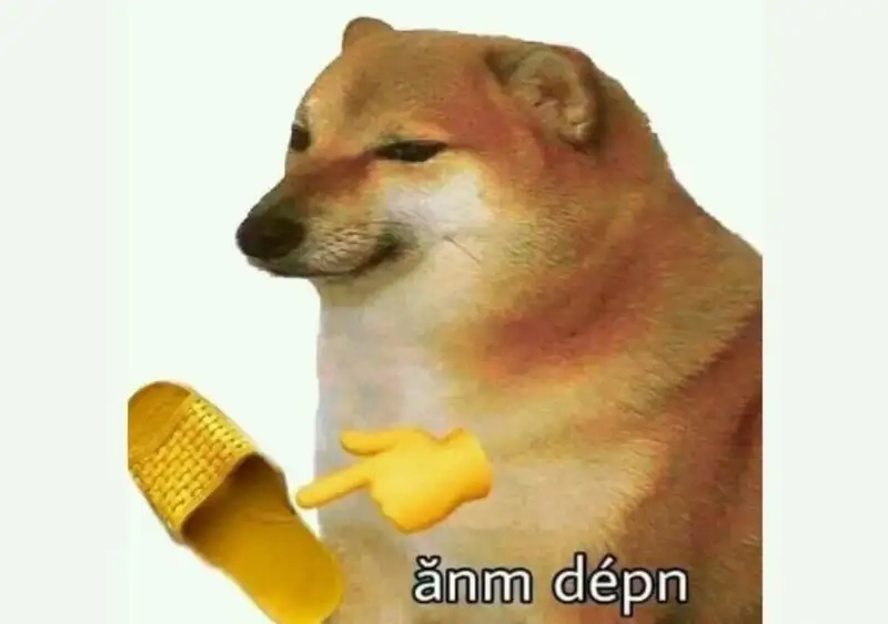 Dog meme png dễ dàng chia sẻ trên các nền tảng mạng xã hội