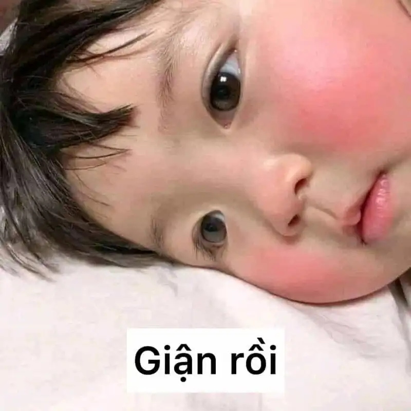 Hình meme cute giúp bạn thư giãn sau những giờ làm việc căng thẳng