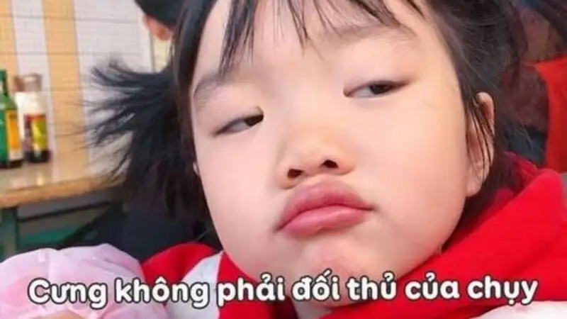 Meme ngủ ngon cute gửi lời chúc ngọt ngào trước khi đi ngủ