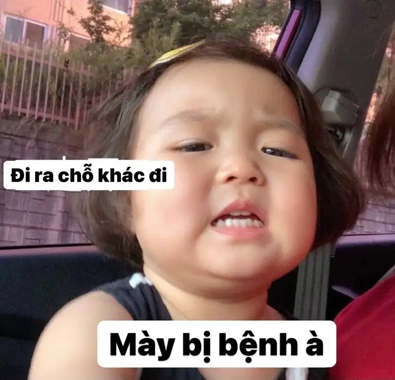 Cute meme hài giúp bạn chia sẻ niềm vui với bạn bè