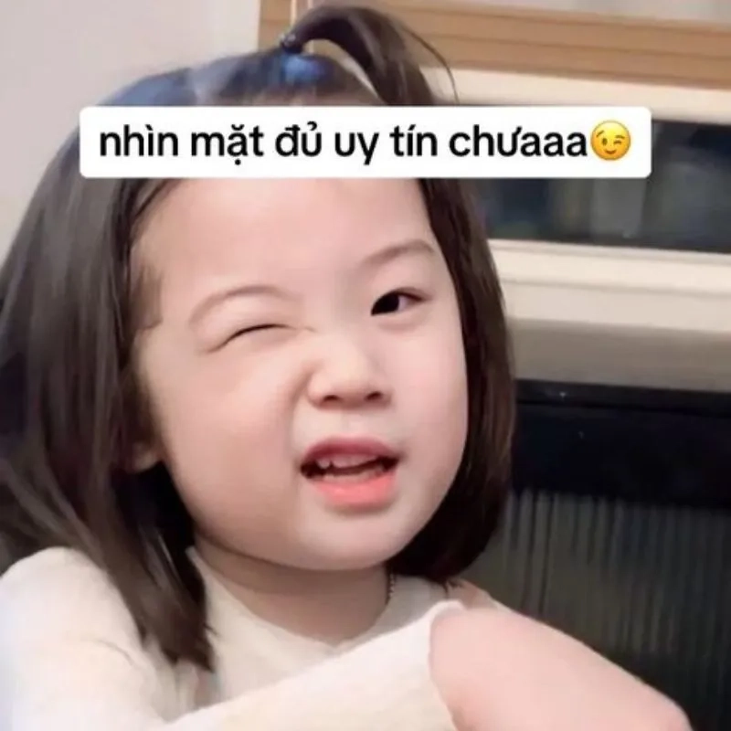 Hình ảnh meme cute sẽ làm bừng sáng ngày của bạn