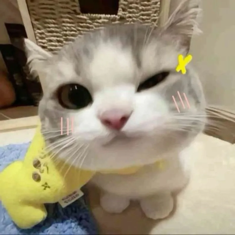 Meme chúc ngủ ngon cute mang đến sự ấm áp cho đêm