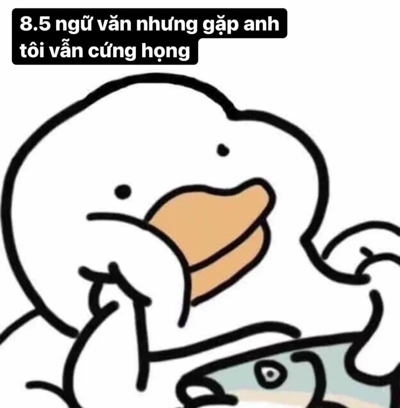 Cute meme hài là lựa chọn hoàn hảo cho những ai yêu thích hài hước