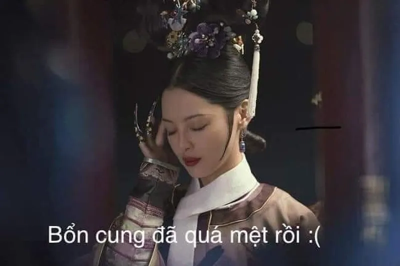 Cute ảnh meme hài mang lại sự dễ thương cho người xem