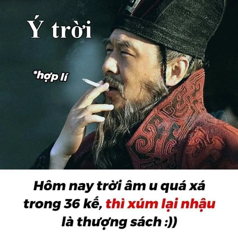 Meme gấu hài hước mang lại tiếng cười cho người yêu động vật