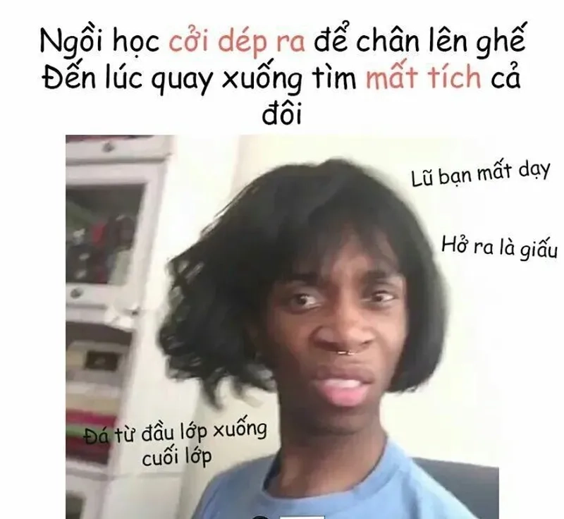 Chó meme hài mang lại tiếng cười cho những người yêu chó