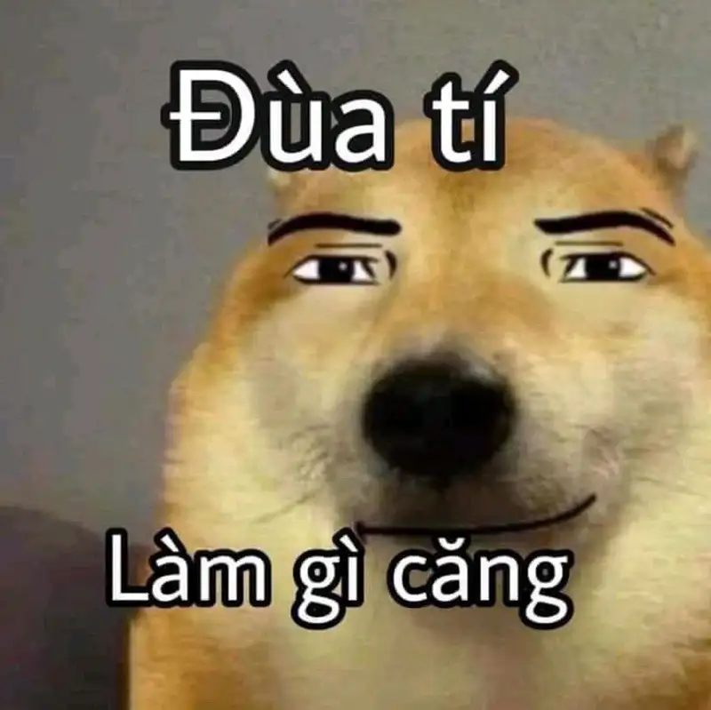 Vẽ meme hài giúp bạn thể hiện sự sáng tạo và hài hước