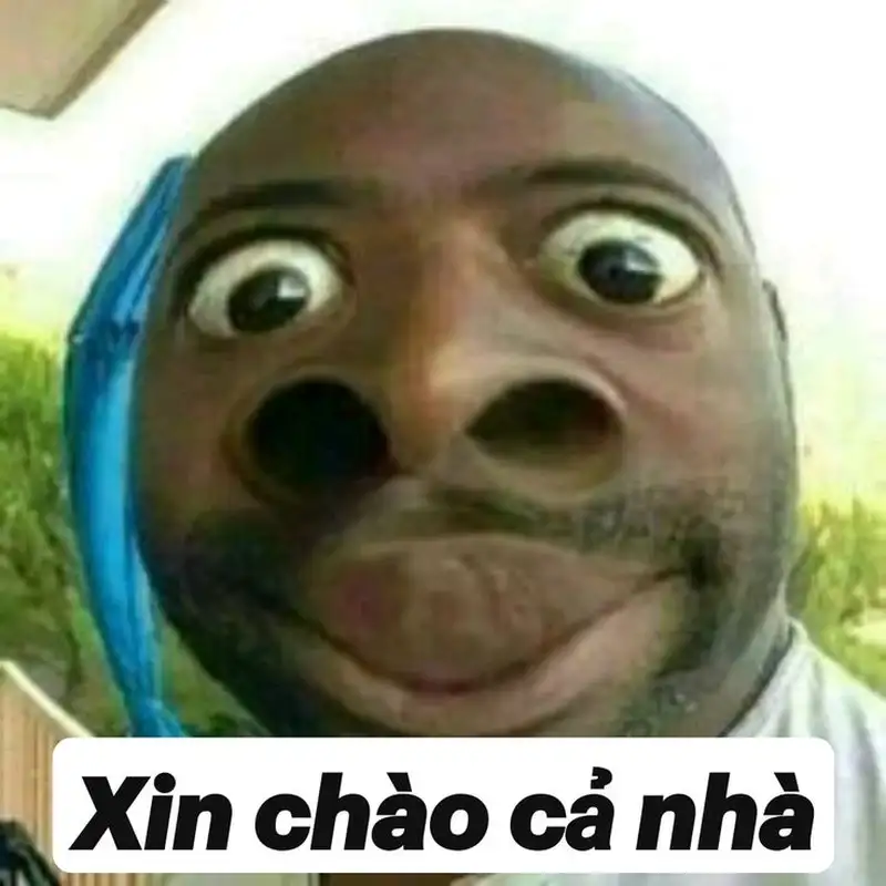 Meme hài bựa Cheems khiến mọi khoảnh khắc trở nên siêu hài hước và đáng yêu!