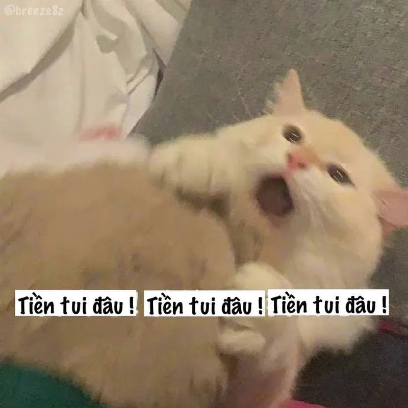 Meme ví hết tiền là cách hài hước để nói về tình trạng tài chính