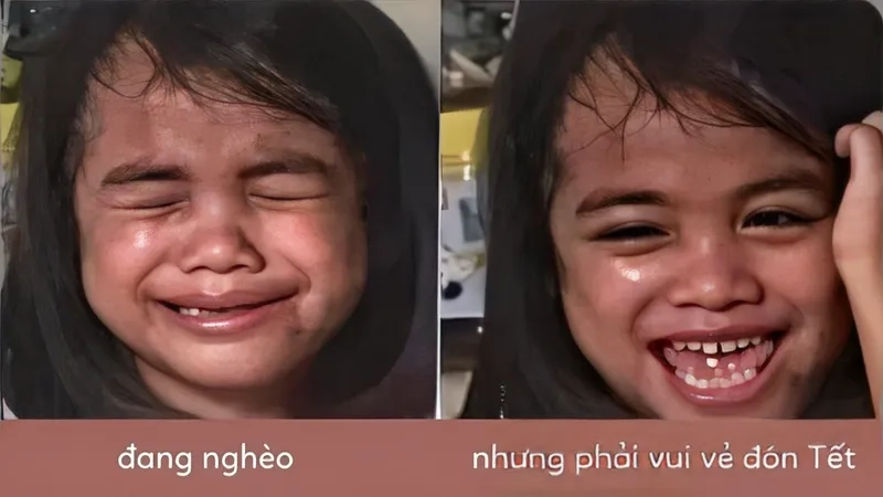 Mèo meme tết mang lại sự dễ thương cho không khí tết