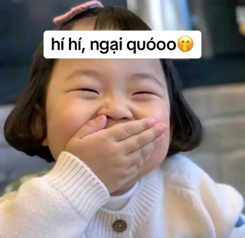 Meme mèo vô tri mang lại niềm vui cho những ai yêu mèo