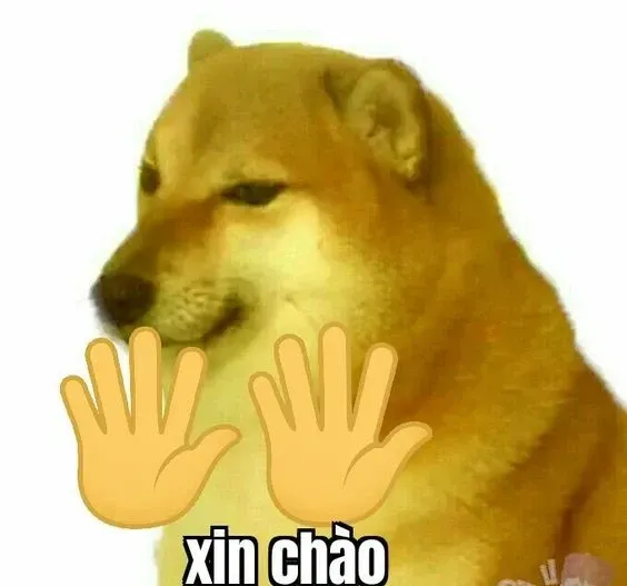 Ảnh chào tạm biệt meme khiến bạn không thể quên