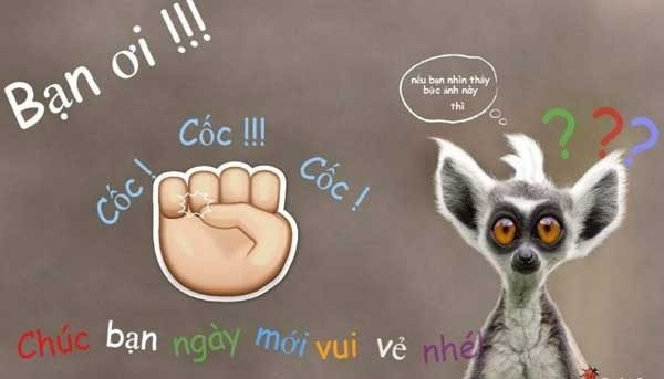 Hello meme chào là cách chào hỏi độc đáo và vui vẻ