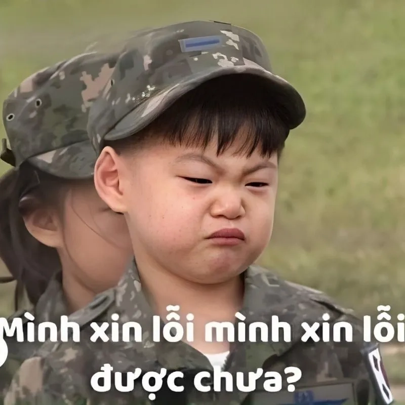 Meme quỳ gối xin lỗi khiến bạn cảm thấy đồng cảm