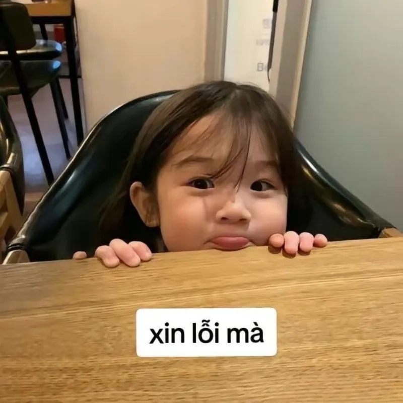 Văn mẫu xin lỗi meme là cách dễ thương để xin lỗi ai đó