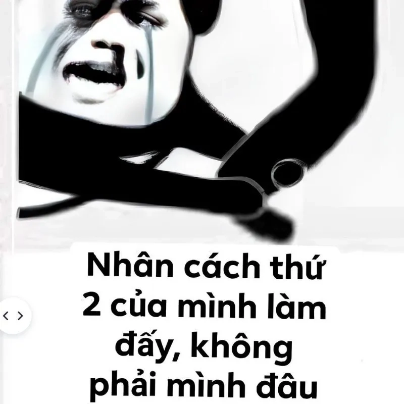 Meme quỳ lạy xin lỗi khiến bạn không thể nhịn cười