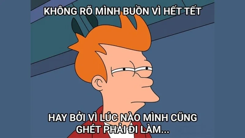 Tết meme mèo là hình ảnh dễ thương cho những ai yêu mèo