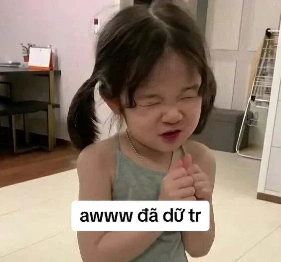 Quan ngại sâu sắc meme mang lại tiếng cười cho mọi người