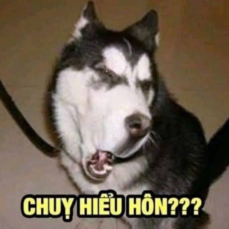 Ảnh meme bựa sáng tạo hài hước không thể bỏ qua